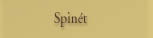 Spint